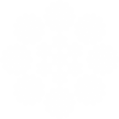 INDIROPE 8x19W(6+6-6-1)+IWRC